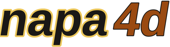 napa4d logo